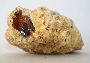 The Fascinating History of Ambergris: From Perfume to Royal Delicacy - image 2