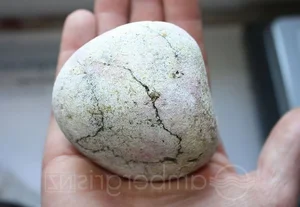 The Fascinating History of Ambergris: From Perfume to Royal Delicacy - image 5