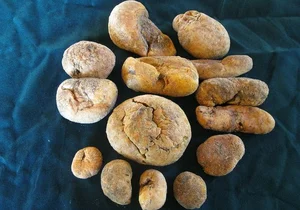 The Fascinating History of Ambergris: From Perfume to Royal Delicacy - image 7