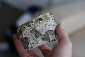 The Fascinating History of Ambergris: From Perfume to Royal Delicacy - image 8