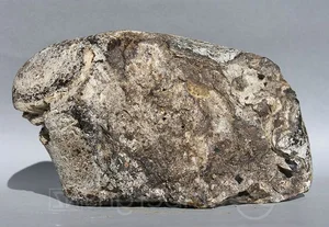 The Fascinating History of Ambergris: From Perfume to Royal Delicacy - image 9
