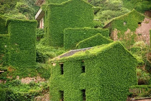 Stunning Abandoned: The Eerie Beauty of China's Famous Ghost Fishing Village - image 3