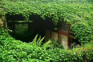 Stunning Abandoned: The Eerie Beauty of China's Famous Ghost Fishing Village - image 1