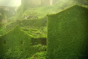 Stunning Abandoned: The Eerie Beauty of China's Famous Ghost Fishing Village - image 8