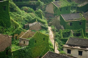 Stunning Abandoned: The Eerie Beauty of China's Famous Ghost Fishing Village - image 6
