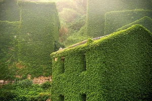 Stunning Abandoned: The Eerie Beauty of China's Famous Ghost Fishing Village - image 7