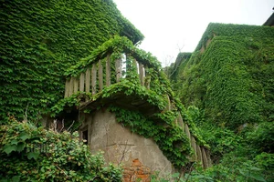 Stunning Abandoned: The Eerie Beauty of China's Famous Ghost Fishing Village - image 4