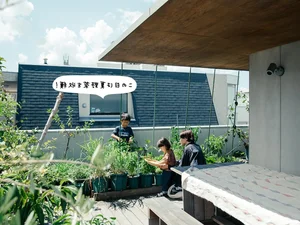 Modern Townhouse Design: 5m Voids and Dual Gardens for Natural Airflow - image 3
