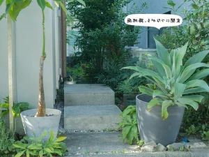 Modern Townhouse Design: 5m Voids and Dual Gardens for Natural Airflow - image 4