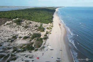 Environmental Crisis: Illegal Sale of Coastal Protection Forests Exposed - image 2