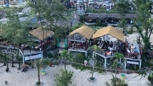 Environmental Crisis: Illegal Sale of Coastal Protection Forests Exposed - image 10