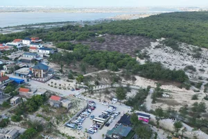 Environmental Crisis: Illegal Sale of Coastal Protection Forests Exposed - image 9
