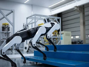 AI Robot Dogs: The Future of Protecting Thousand-Year-Old Heritage Sites - image 1