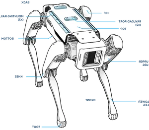 AI Robot Dogs: The Future of Protecting Thousand-Year-Old Heritage Sites - image 12