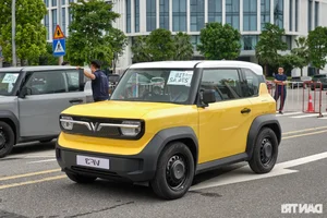 Chinese Electric Vehicles Struggle in Vietnam Despite Domestic Success - image 4
