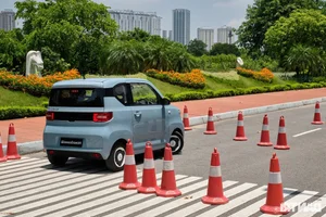 Chinese Electric Vehicles Struggle in Vietnam Despite Domestic Success - image 5