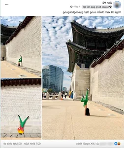 Vietnamese Tourist Sparks Debate with Public Yoga in Seoul - image 0