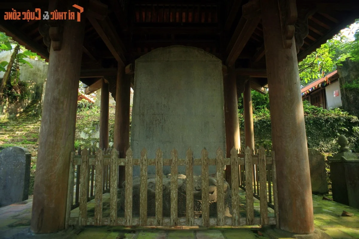 Cultural Heritage: Top 10 National Treasures to See in Vietnamese Pagodas