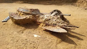 Stunning 2,000-Year-Old Roman Sword Discovered Unexpectedly in Poland - image 3