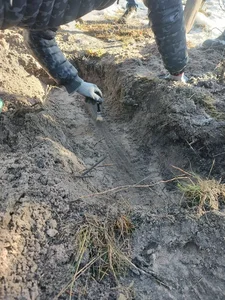 Stunning 2,000-Year-Old Roman Sword Discovered Unexpectedly in Poland - image 4