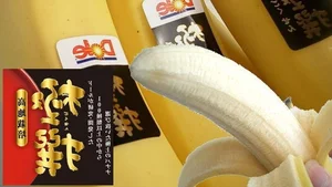 The Mystery of the Blue Java Banana: Why This Exotic Fruit Costs a Fortune - image 5