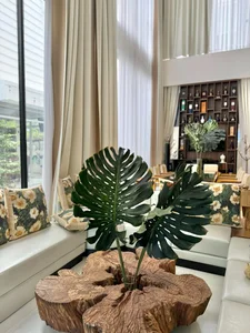 Actress Thrives in 50,000m2 Eco-Resort with Tycoon Husband and Four Children - image 9