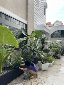 Actress Thrives in 50,000m2 Eco-Resort with Tycoon Husband and Four Children - image 6
