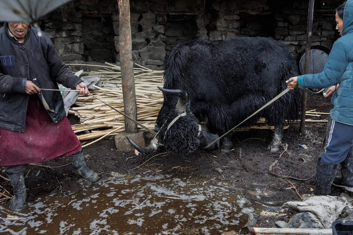 Exploring the Hidden Secrets of Isolated Mountain Villages in Remote India