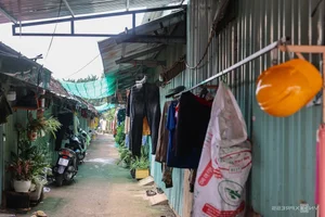 The Evolution of Ho Chi Minh City's Largest Sports Complex After 30 Years - image 0