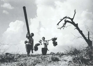 A Love Story of 200 Letters: The Secret Pipeline Guard of Truong Son - image 3