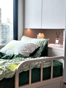 Luxury in 12 Square Meters: The Incredible Design of a Fully Functional Micro-Apartment - image 2