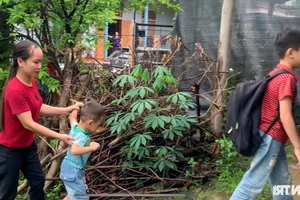 The Heartwarming Journey of a Mountain Preschool Teacher - image 4