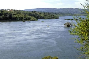 Unveiling the Mysteries of the World's Longest River - image 0
