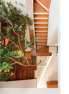 Kodikara House: A Nature-Integrated Sanctuary for the Digital Age - image 14