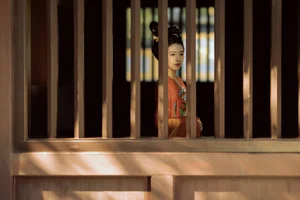 YiTuYu Art Language Vol.8033: Exploring the Ethereal Beauty of Mo Lu - image 15
