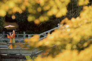 YiTuYu Art Language Vol.8033: Exploring the Ethereal Beauty of Mo Lu - image 5