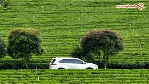 Exploring the Highlands with Toyota Innova Cross HEV: A Hybrid Journey to Remember - image 24
