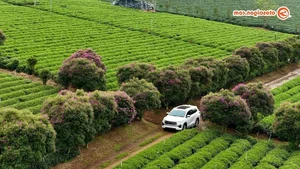 Exploring the Highlands with Toyota Innova Cross HEV: A Hybrid Journey to Remember - image 14