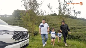 Exploring the Highlands with Toyota Innova Cross HEV: A Hybrid Journey to Remember - image 18