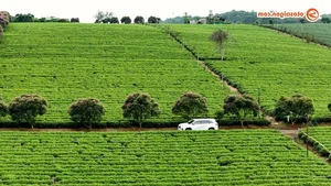Exploring the Highlands with Toyota Innova Cross HEV: A Hybrid Journey to Remember - image 7