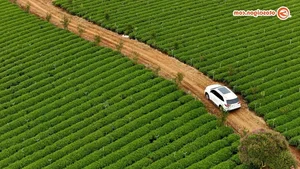 Exploring the Highlands with Toyota Innova Cross HEV: A Hybrid Journey to Remember - image 4