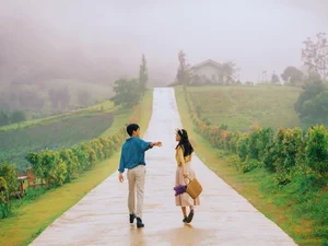 Explore the Untamed Beauty of Ly Son Island: Vietnam's Volcanic Paradise - image 8