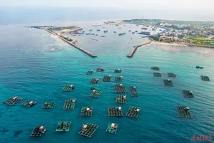 Explore the Untamed Beauty of Ly Son Island: Vietnam's Volcanic Paradise - image 0
