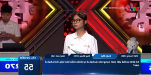 Quoc Hoc Hue Student Shines in Road to Mount Olympia 25 Quarter-Final Qualifiers - image 1