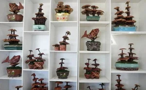 The Art and Value of Premium Ganoderma Lucidum Bonsai - image 6