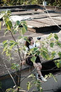 Artistic Expression in YiTuYu Art Language Vol.7699 with Jiu Cai He Zi - image 18