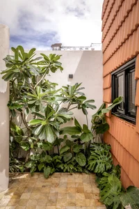 Unique Tube House in Can Tho Featuring Seven Integrated Indoor Gardens - image 2