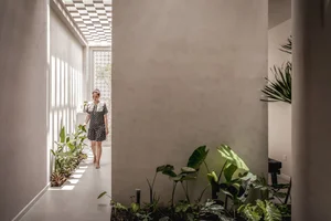 Unique Tube House in Can Tho Featuring Seven Integrated Indoor Gardens - image 12