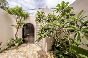 Unique Tube House in Can Tho Featuring Seven Integrated Indoor Gardens - image 6