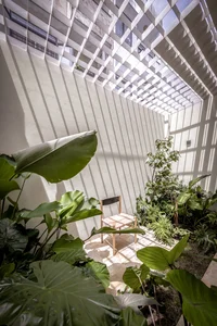 Unique Tube House in Can Tho Featuring Seven Integrated Indoor Gardens - image 9